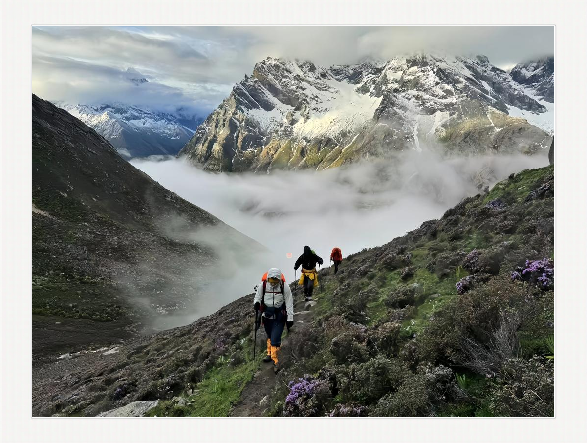 关于高原徒步穿越大赛,感受不同海拔的极限体验的信息 关于高原徒步穿越大赛,感受不同海拔的极限体验的信息