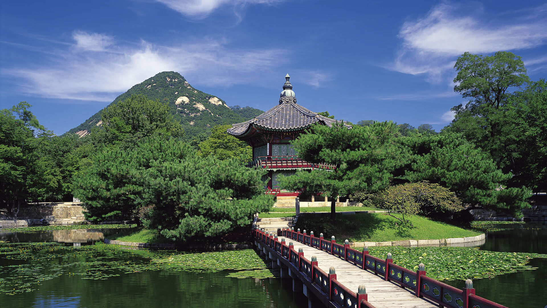 中国跳水队备战世锦赛陈芋汐状态稳定，中国跳水小将陈芋汐是哪里人