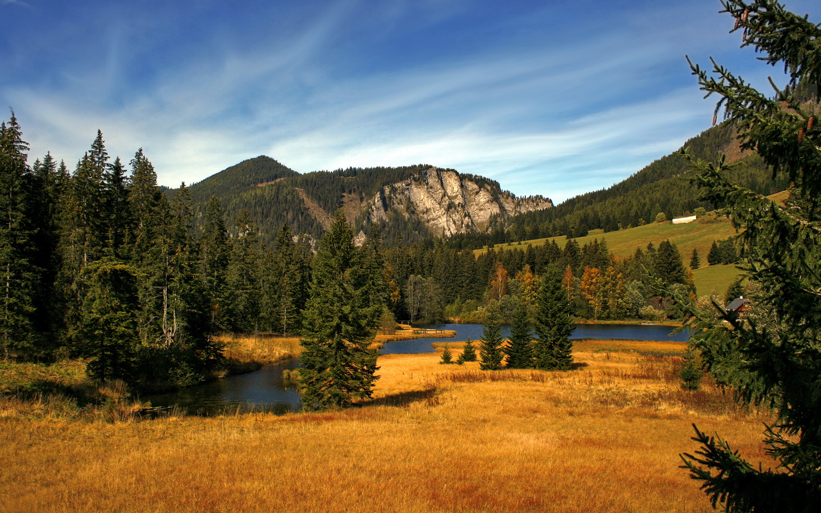 米兰体育APP-挑战榜上冠军！墨西哥女队对阵巴拿马，胜者晋级，墨西哥对巴拿马比赛结果