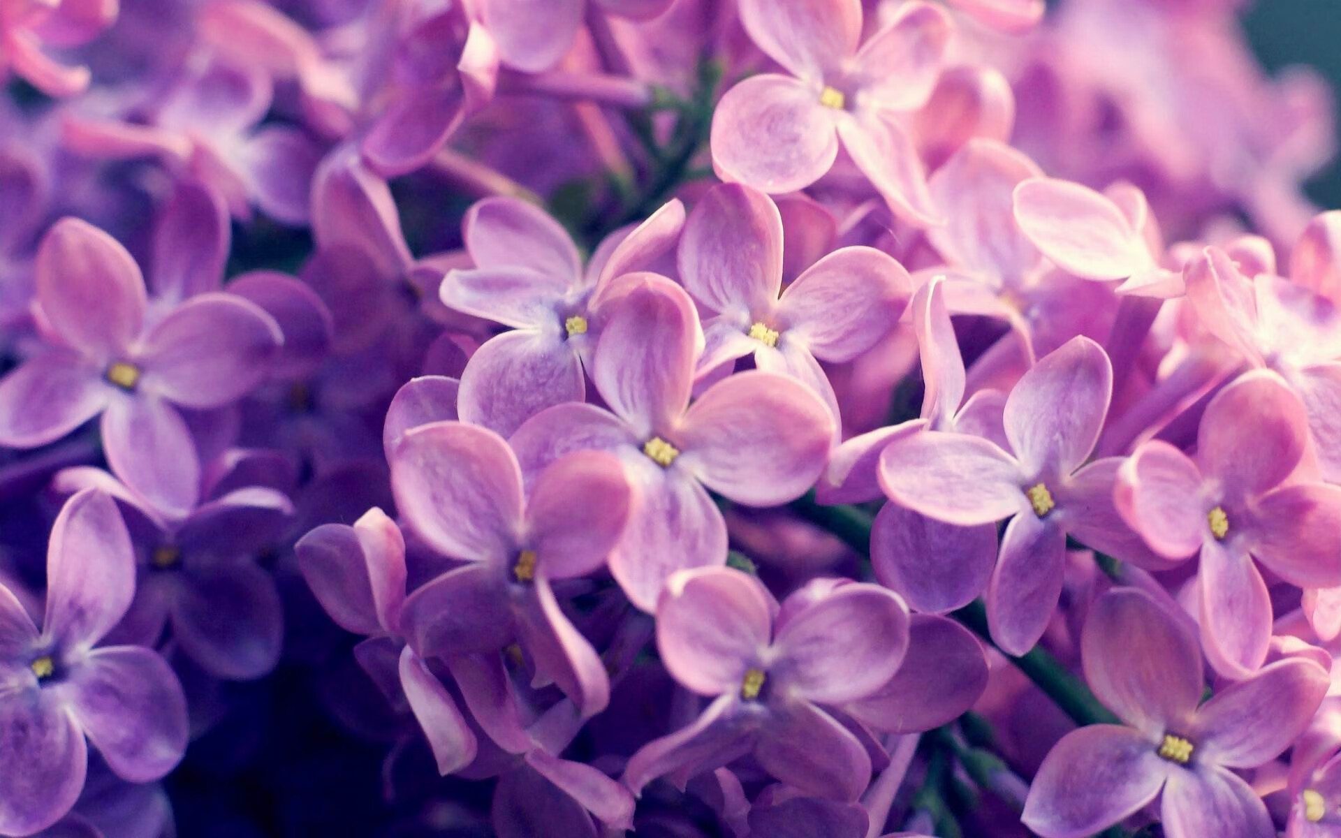 米兰体育官方入口-NBA赛季防守效率统计，nba赛季防守效率统计最新