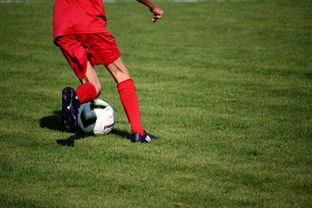 AC米兰体育-中国篮球教练员职业发展规划及培训体系，篮球教练员职业生涯规划