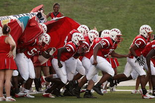 ac米兰-全国城际定向越野赛青少年组吸引众多参赛者，全国定向越野锦标赛