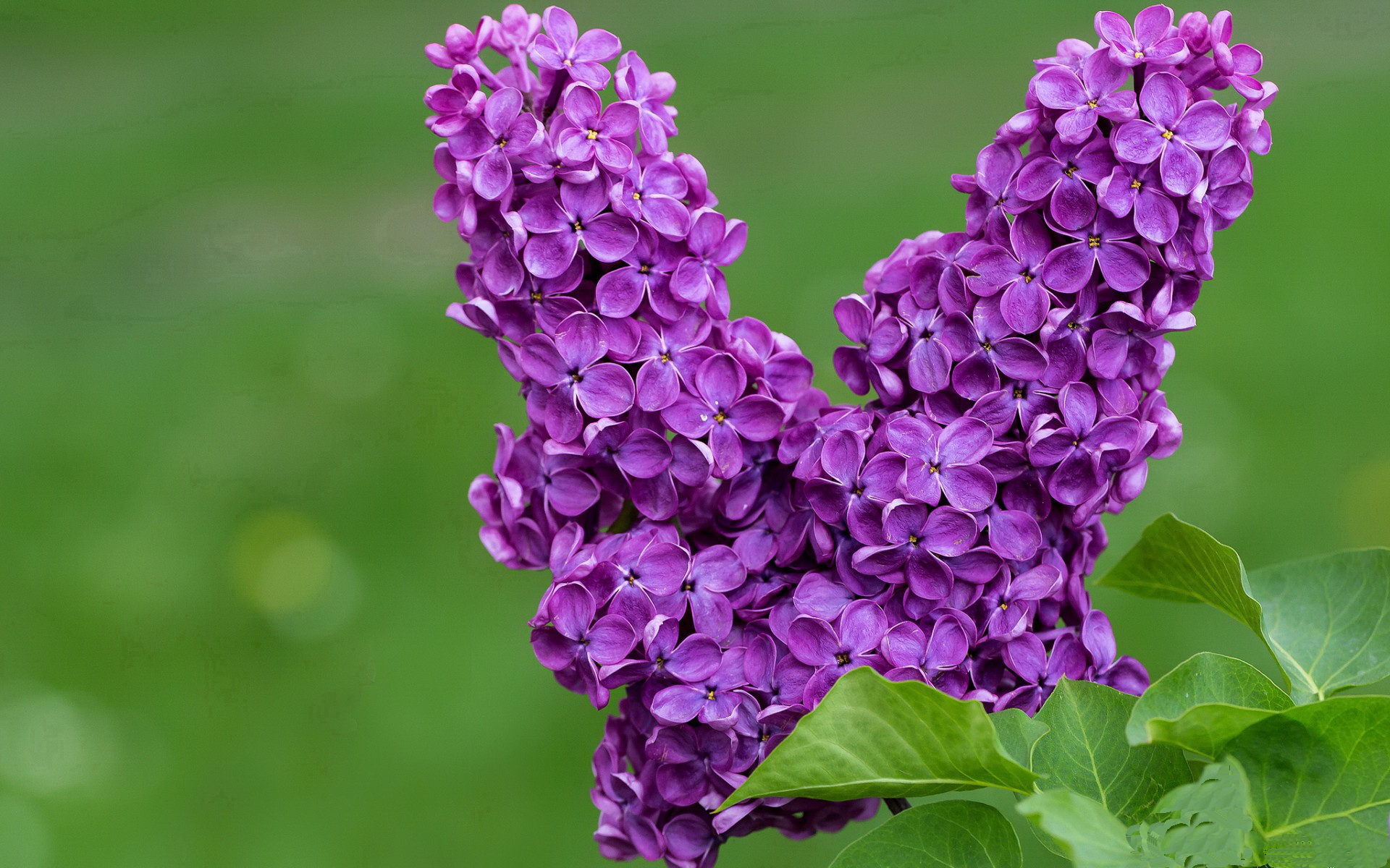 米兰体育APP官网-CBA联赛推动篮球运动普及，cba联赛推动篮球运动普及了吗