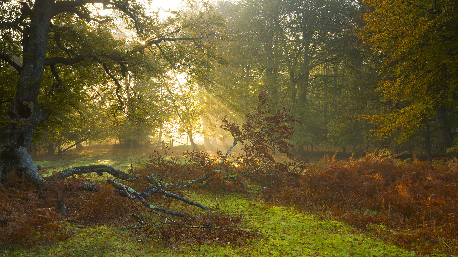 中国男篮加强第二阵容比赛适应性,中国男篮cba第二阶段赛程表