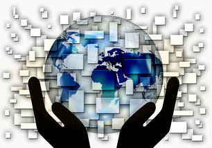 米兰体育APP官网-国家滑板协会公布全国青少年排名更新机制，国家滑板队训练中心