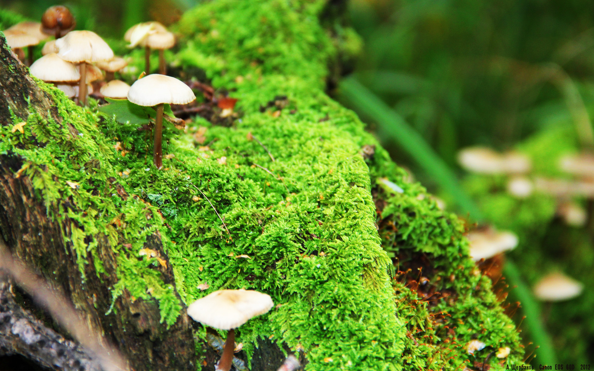 米兰体育官方网址入口-老鹰进攻端多次配合默契赢得掌声，老鹰进攻图解