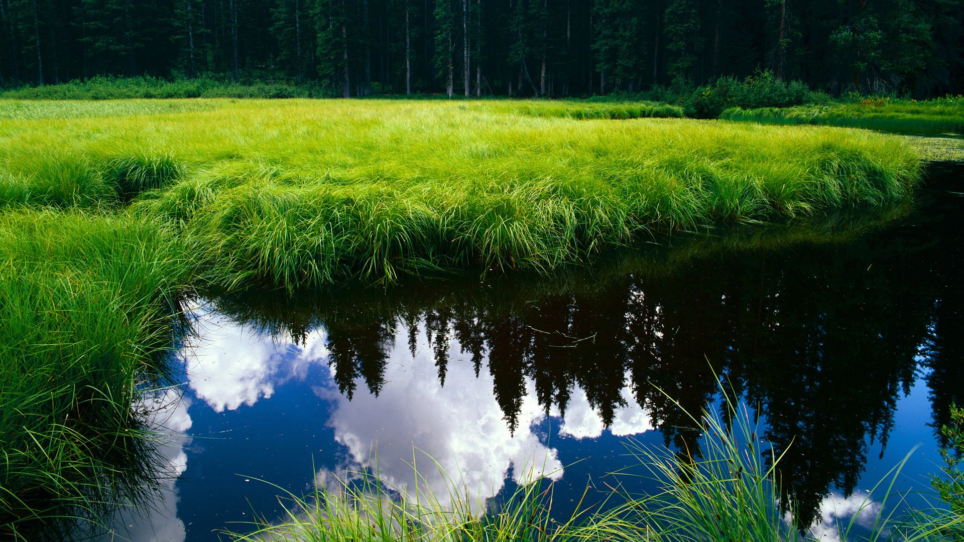 AC米兰体育-跳水动作精准中立代表队A收获信心，跳水队伍