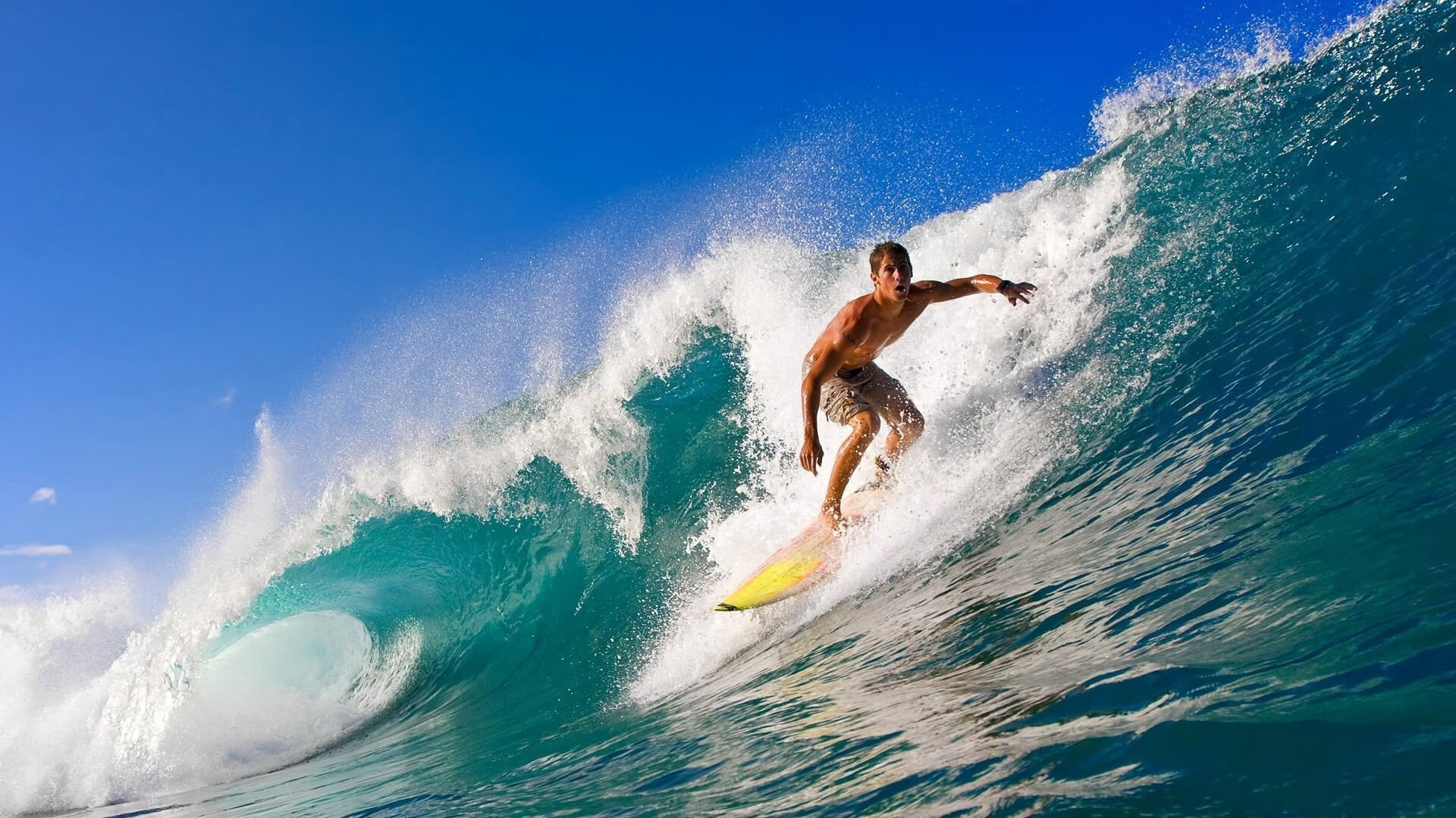 特色山地森林跑，绿色环保运动新玩法，森林跑步比赛